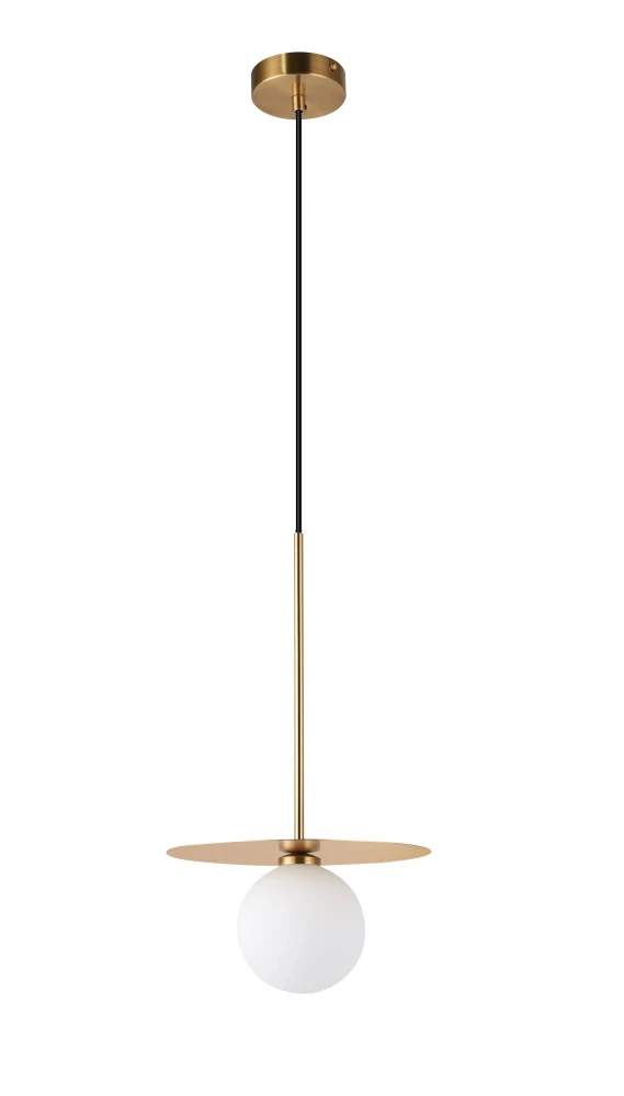 V11569-1P Moderli