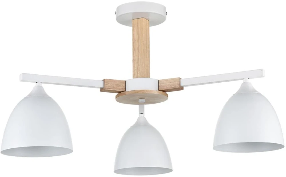 8095/3C Lumion