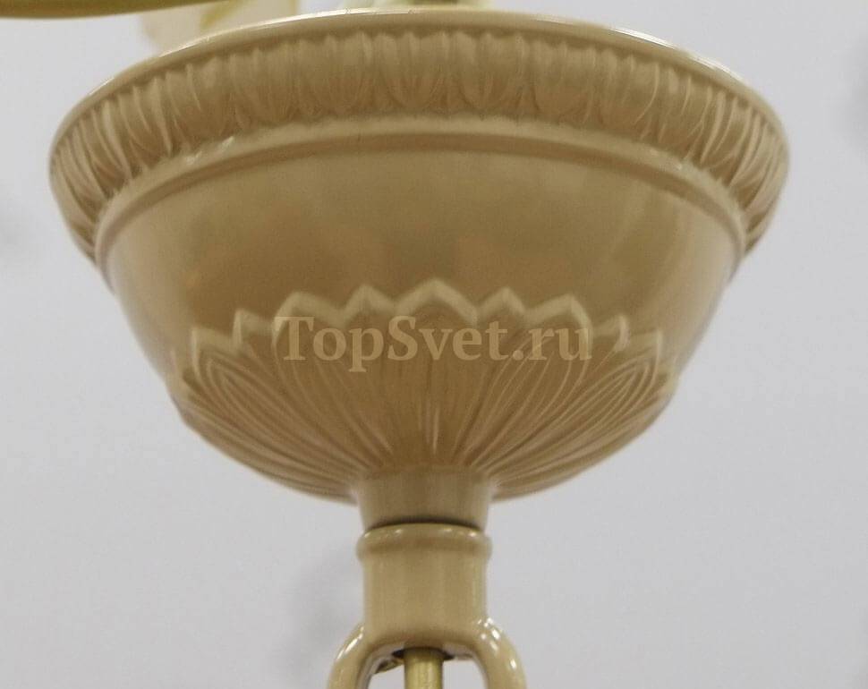 910/10/BB PALE BROWN_