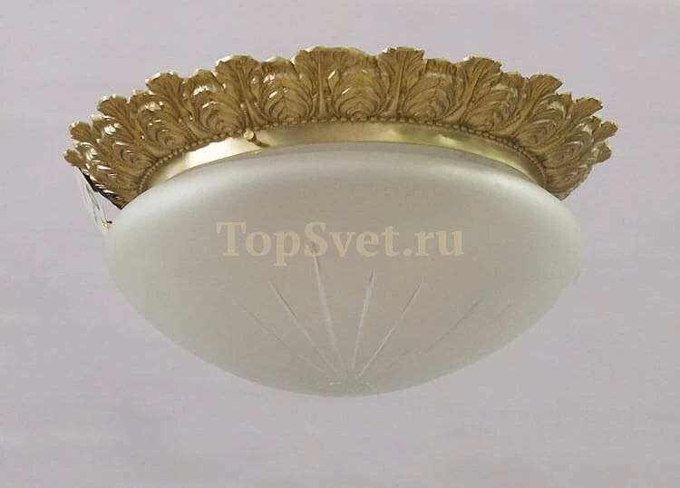 0590/2 CHAMPAGNE Nervilamp