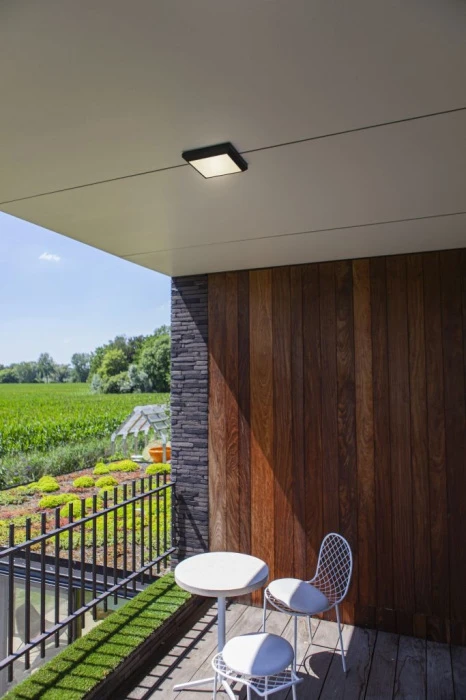 W1021 Gr Oasis Light