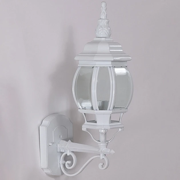 83401S W Oasis Light