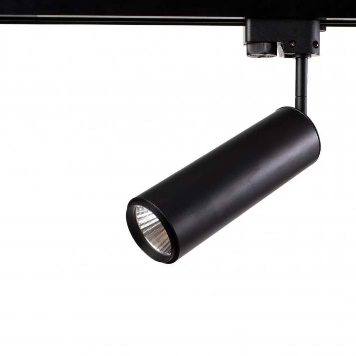 A1412PL-1BK Arte Lamp