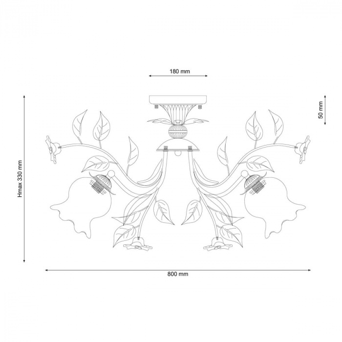 Fiori di rose 114.8_