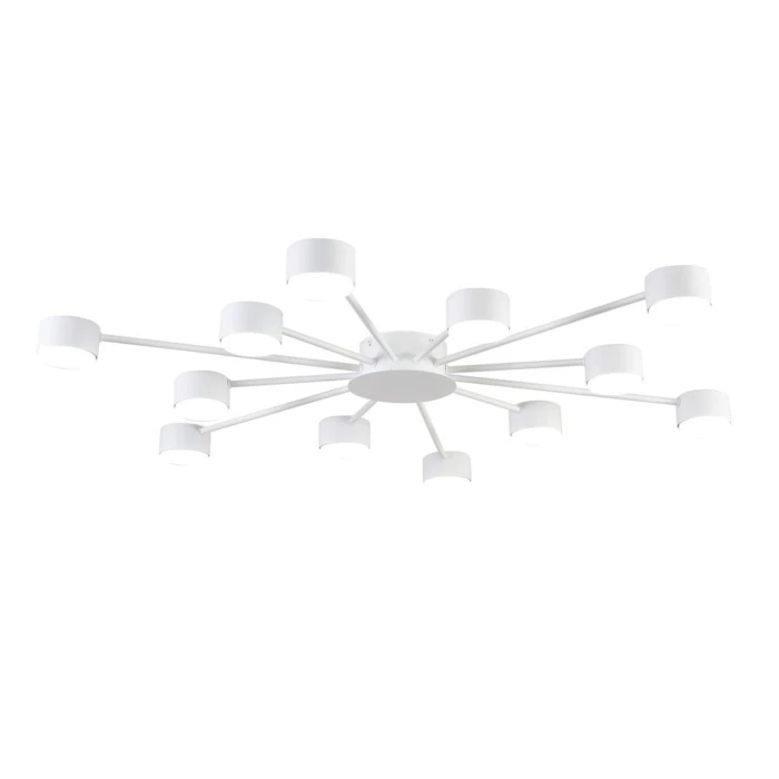 8343/12C Lumion