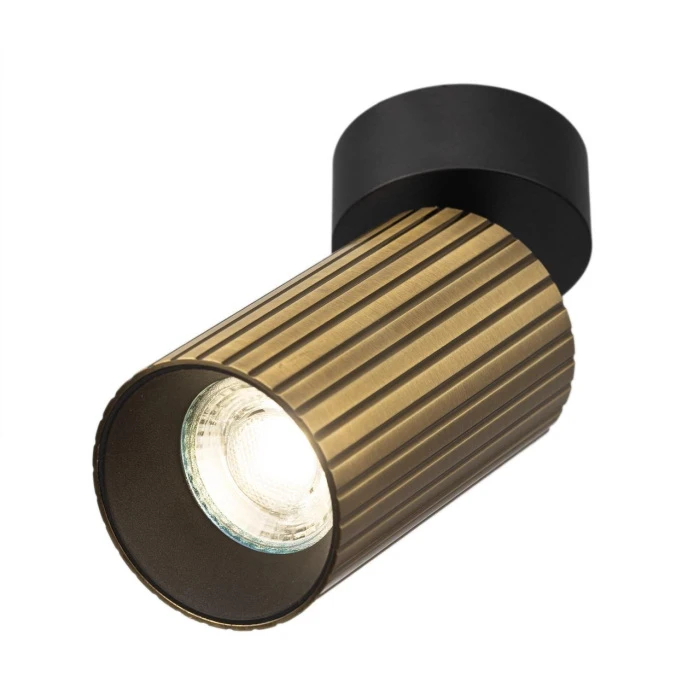 CL512213R Citilux
