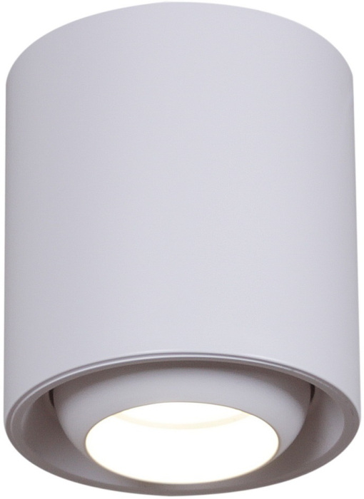 16135-9.5-001 GU10 WT_