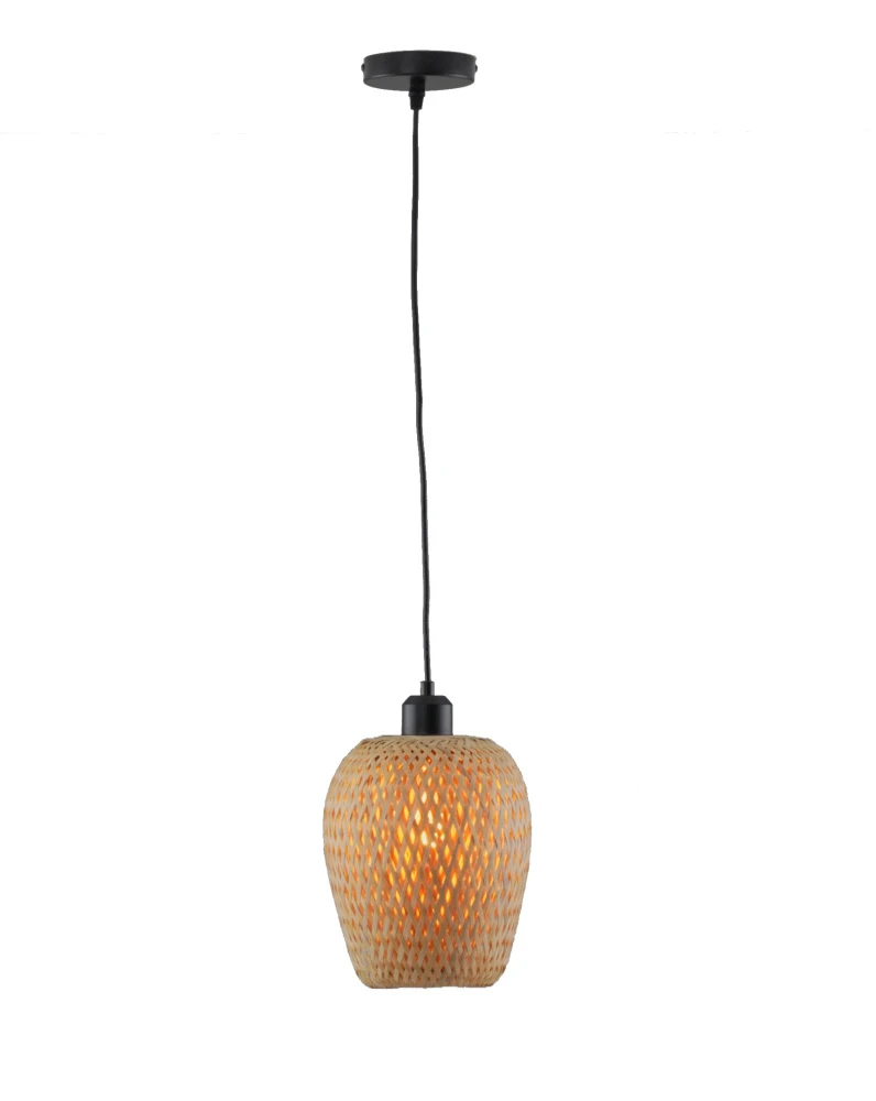V11863-1P Moderli