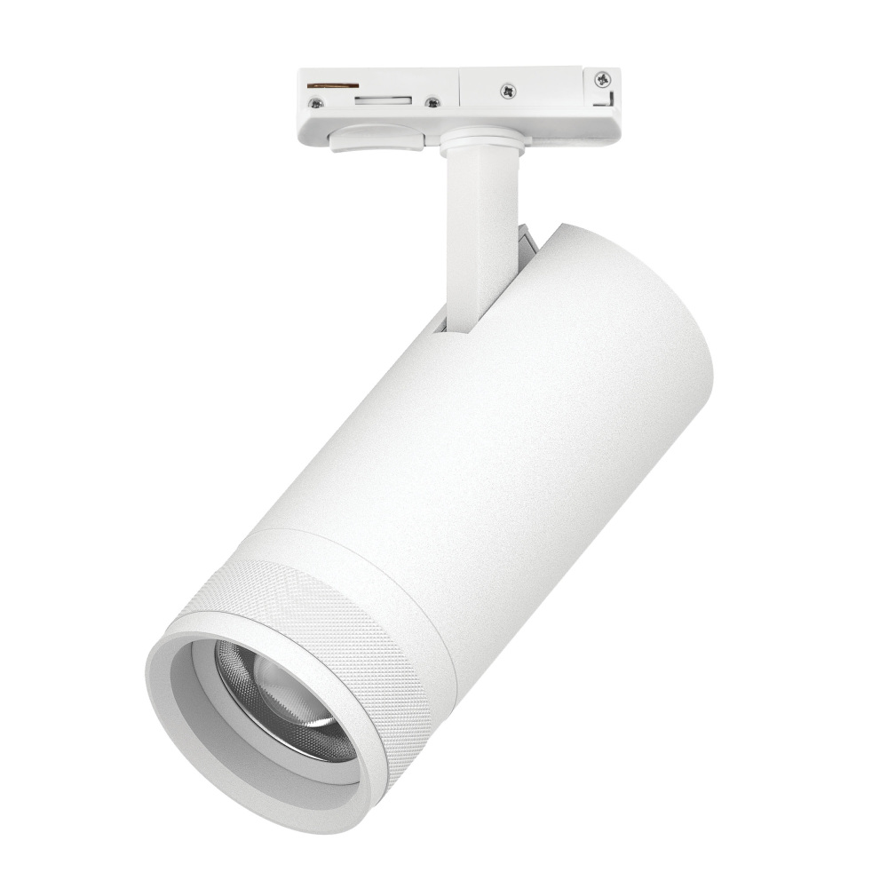 Трековый светильник Canno Pro C4206SS Lightstar