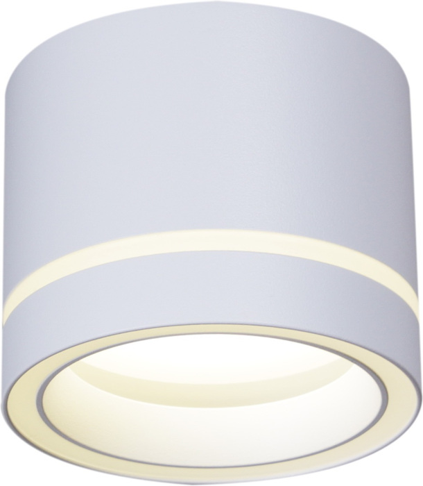 53003-9.5-001LD GX53 WT_