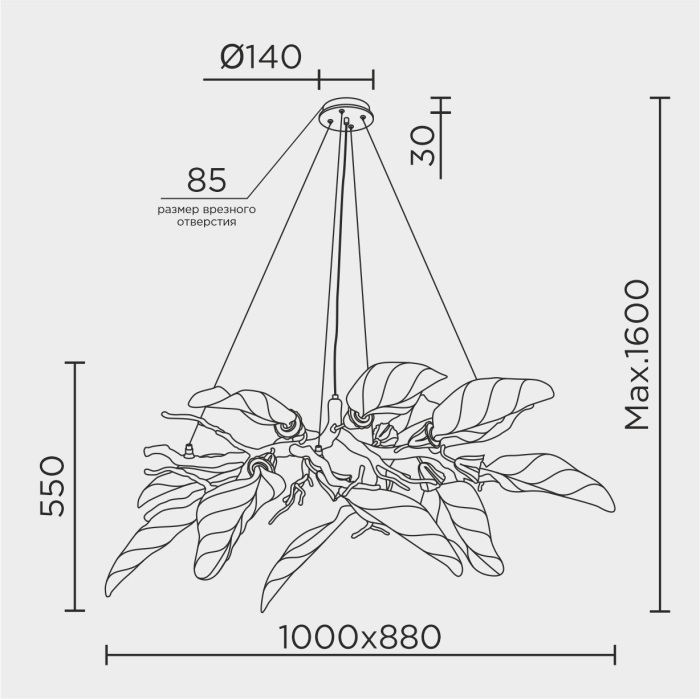 ML.6800.12P Modelux