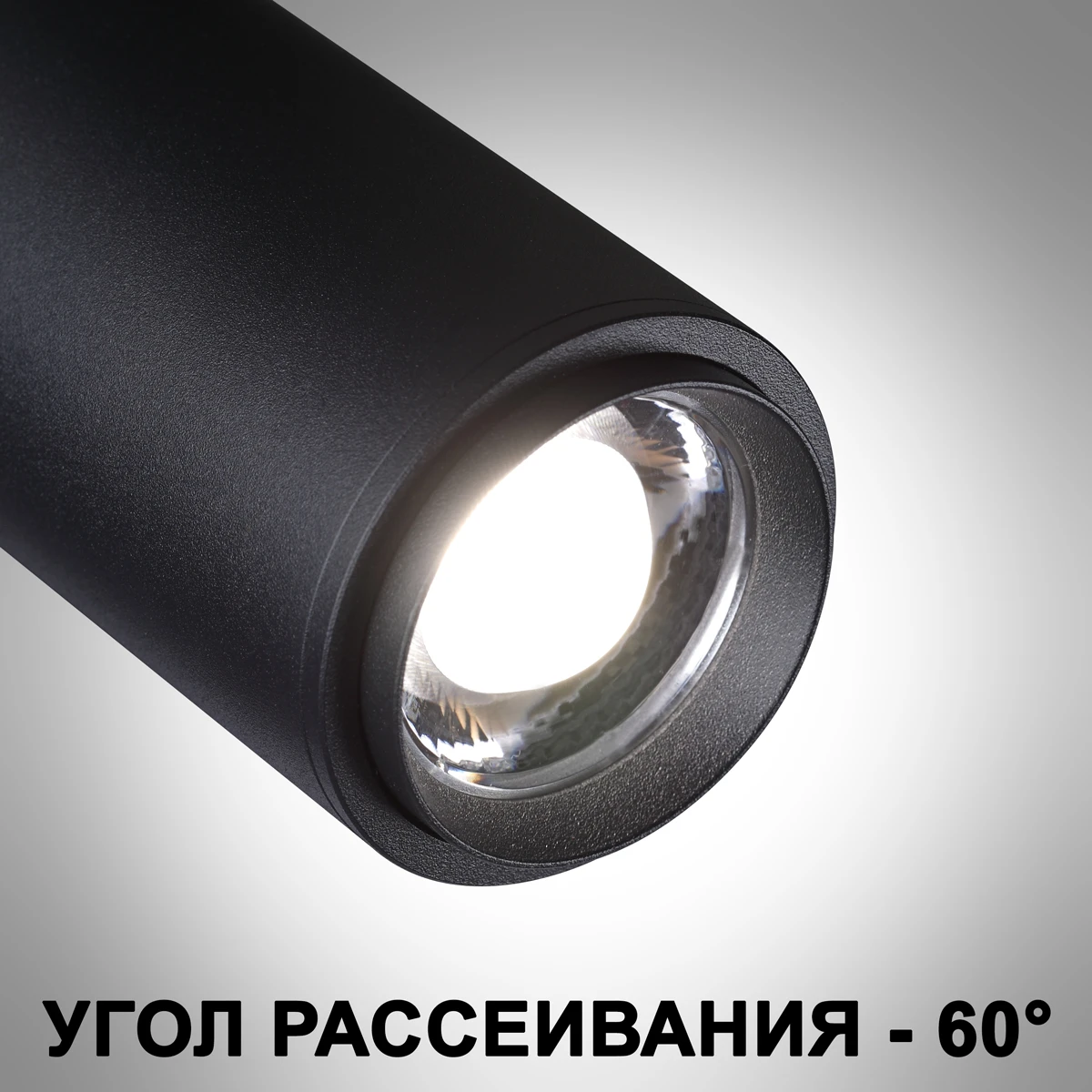 359207 Novotech