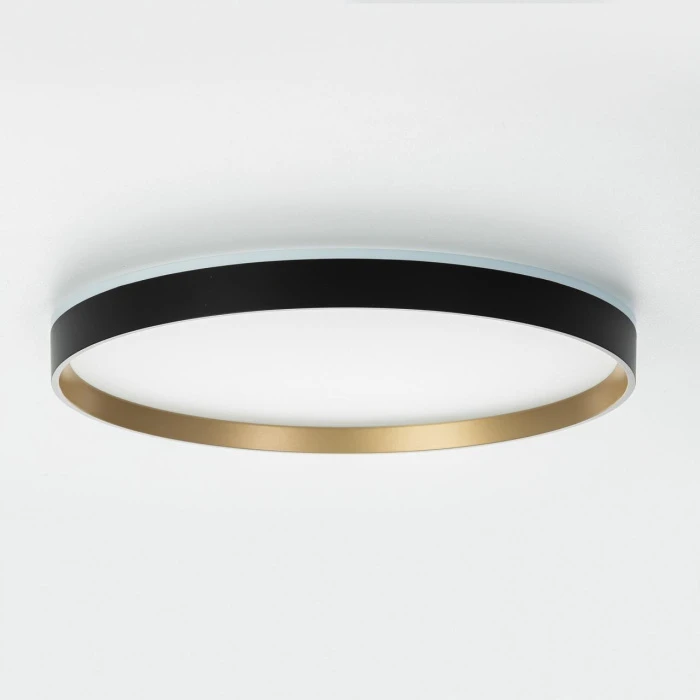 CL750401R Citilux