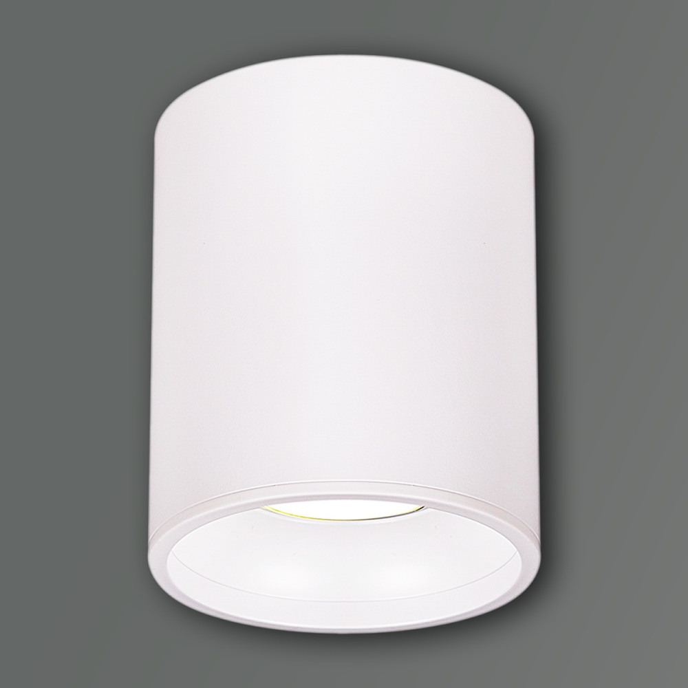 16132-9.5-001CN MR16 WT_