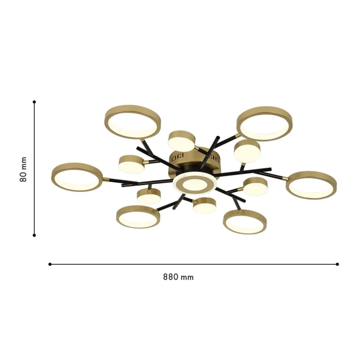 4686-13C F-Promo