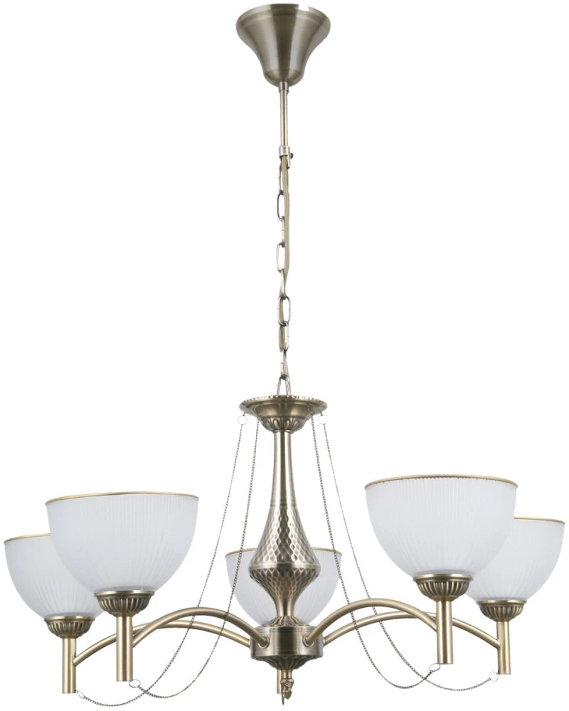 318015305 MW-Light