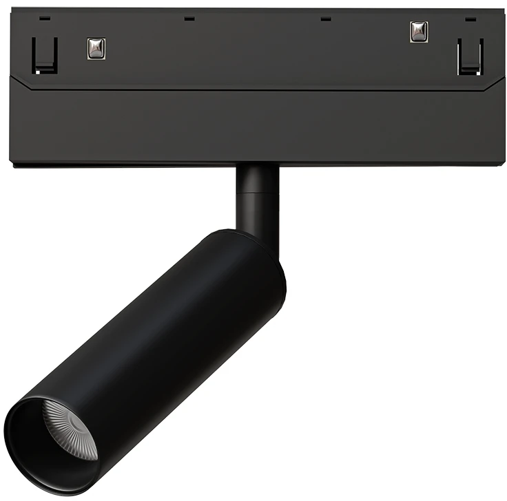 A4690PL-1BK Arte Lamp