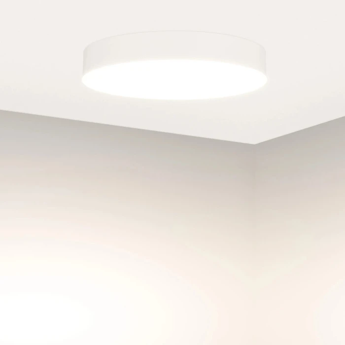 049803 Arlight