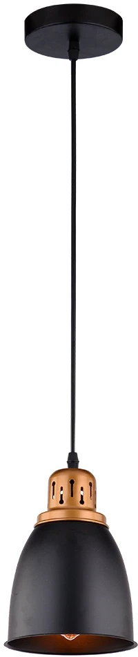 A4248SP-1BK Arte Lamp