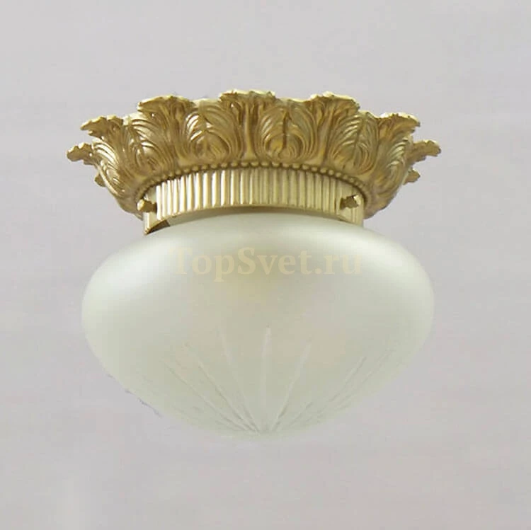 0580/1 CHAMPAGNE Nervilamp