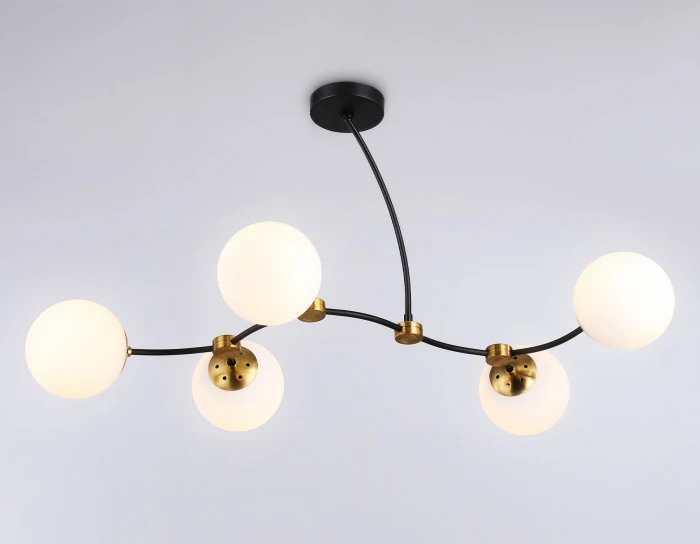 TR2548 Ambrella