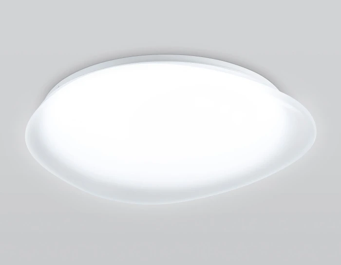FZ1605 Ambrella