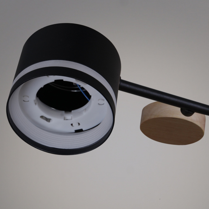 68730-0.3-08 GX53 BK+WOOD_