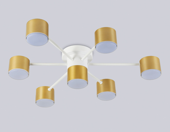 FL51725 Ambrella