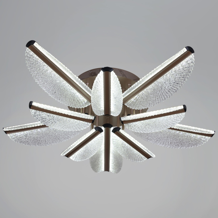 00490-0.3-5+5 champagne silver_