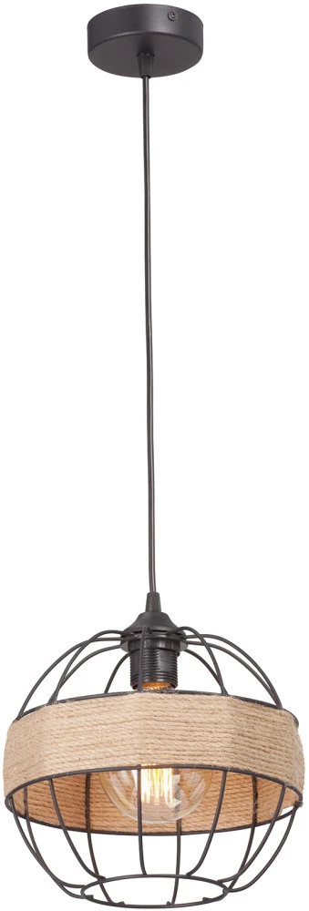 V3973-1/1S Vitaluce