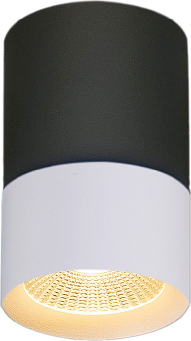 30410-9.5-001RT LED10W BK_