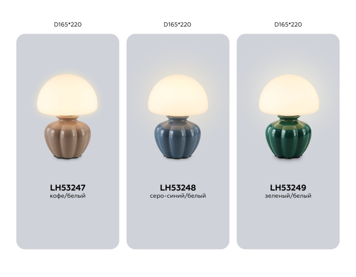 LH53249 Ambrella