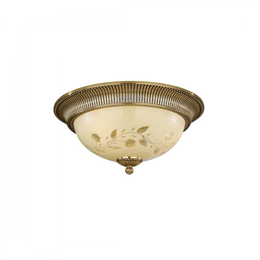 PL 6308/3 Reccagni Angelo