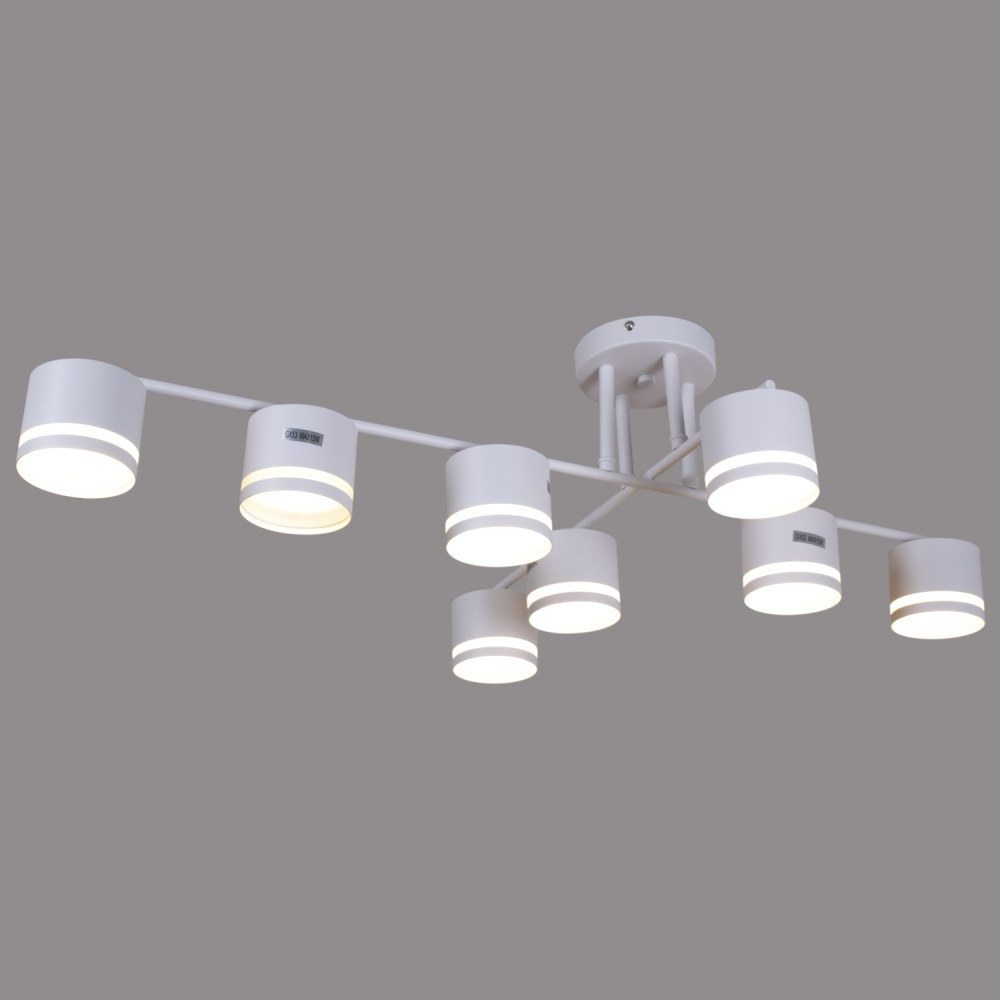 79730-0.3-08 GX53 WT_