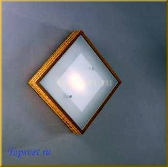 WB 385/P.02 ZEBRANO_