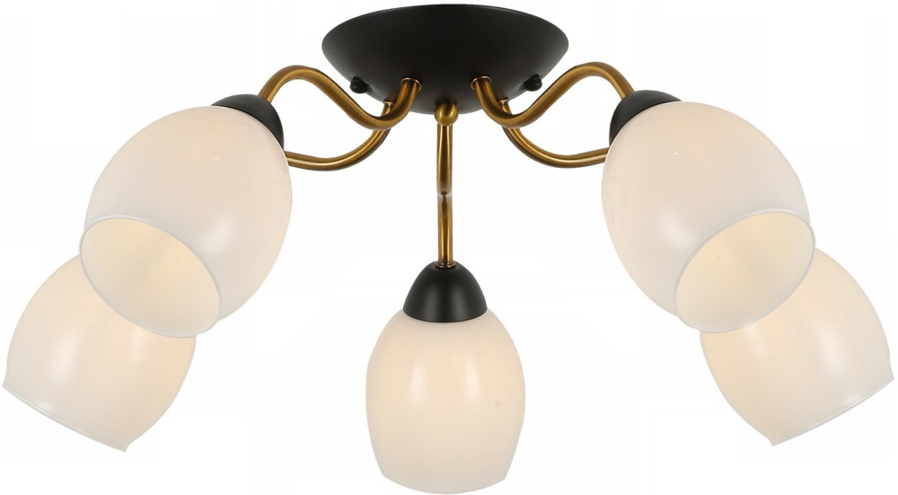 IL8193-5COU-79 BK GD_