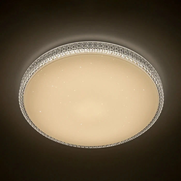 CL718A100G Citilux