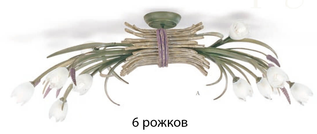 ER-0097/06PL lavanda-13_