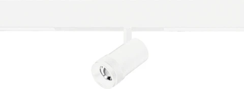ST658.596.10 ST Luce