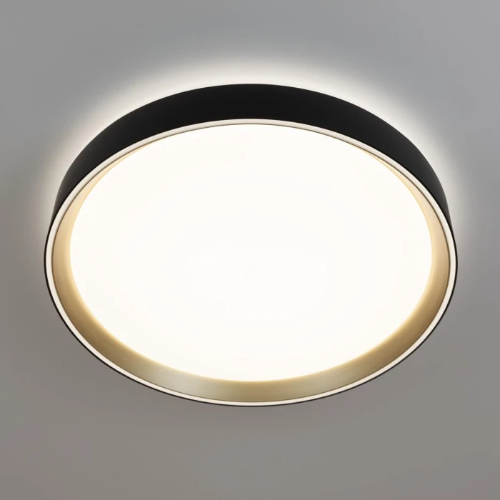 CL751351G Citilux