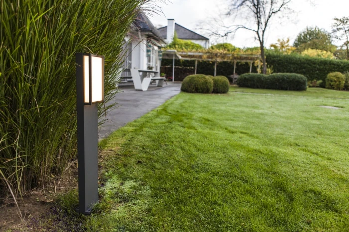 W1930-750-3K Gr Oasis Light