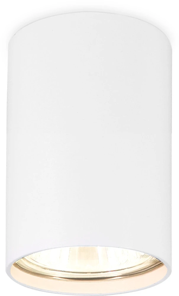 TN213101 Ambrella