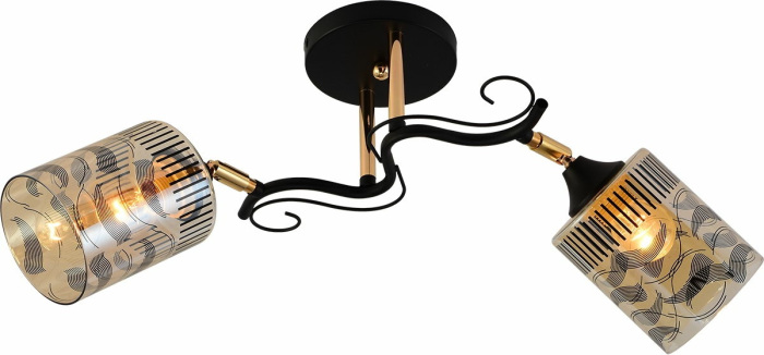 11313-0.3-02 BK+FGD_