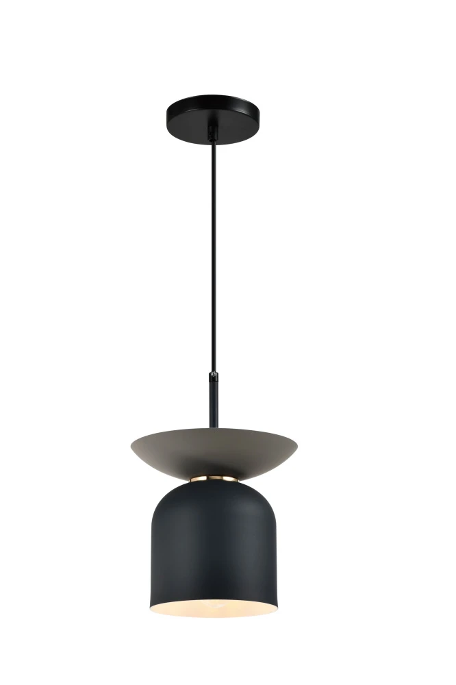 V11554-1P Moderli