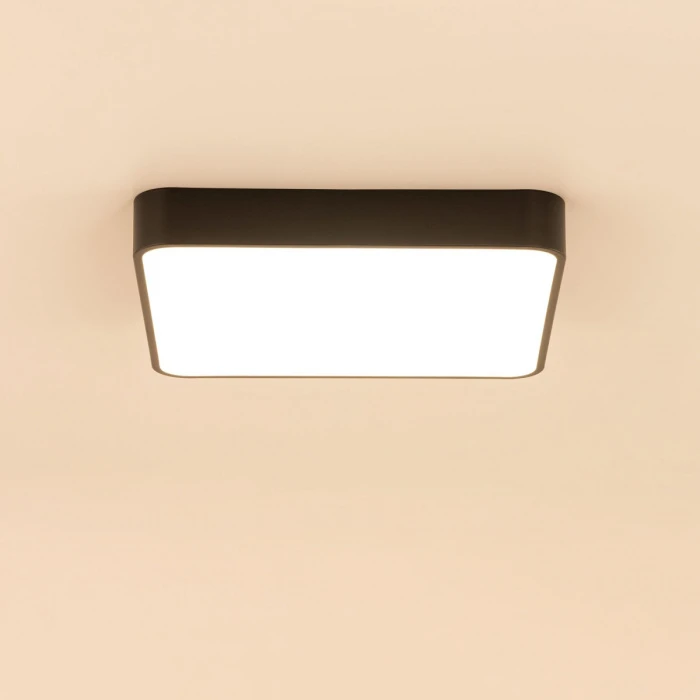 CL724K70G1 Citilux