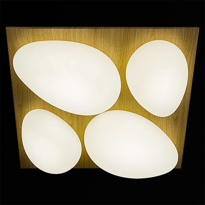 10010-0.3-80W AEROLITE Reluce
