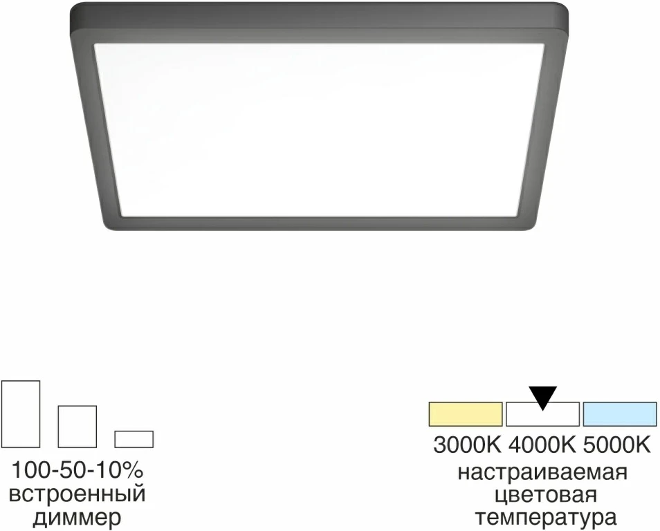 CL738K181V Citilux