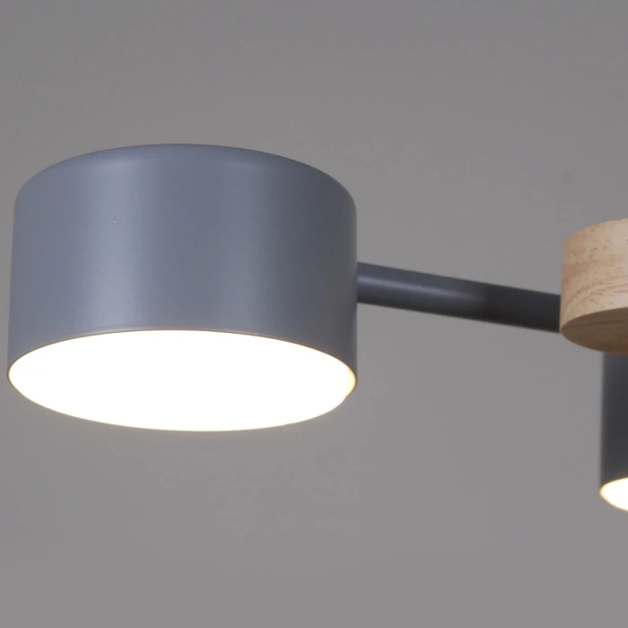 03758-0.3-10 GREY+WOOD GX53 Reluce