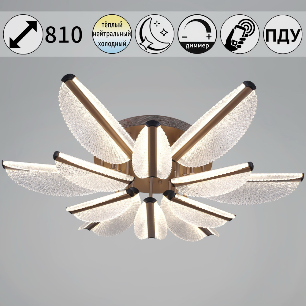 00490-0.3-6+6 champagne silver_