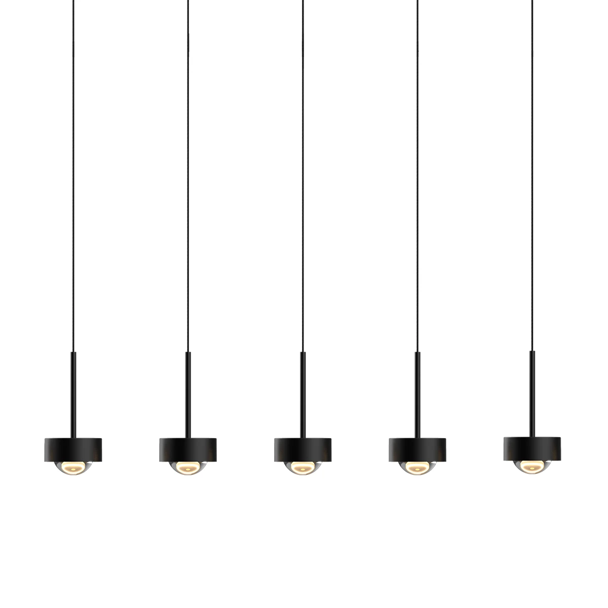 MD2826-5L black Delight Collection